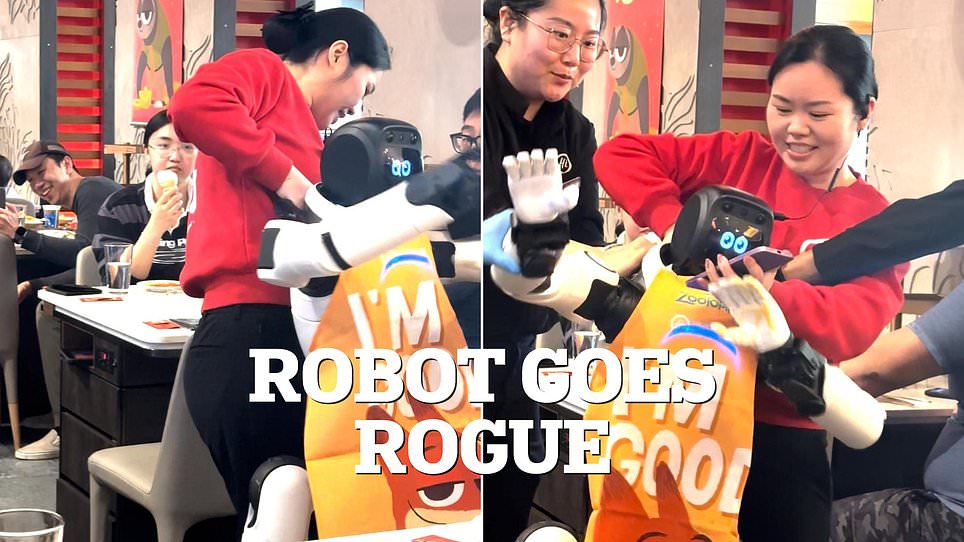 17738312657221734217859250035-177388889010472234478-1 Robot biểu diễn bất ngờ “nổi loạn” trong nhà hàng, đập phá bát đĩa khiến nhân viên vất vả khống chế giữa đám đông hoảng loạn - Ảnh 2.