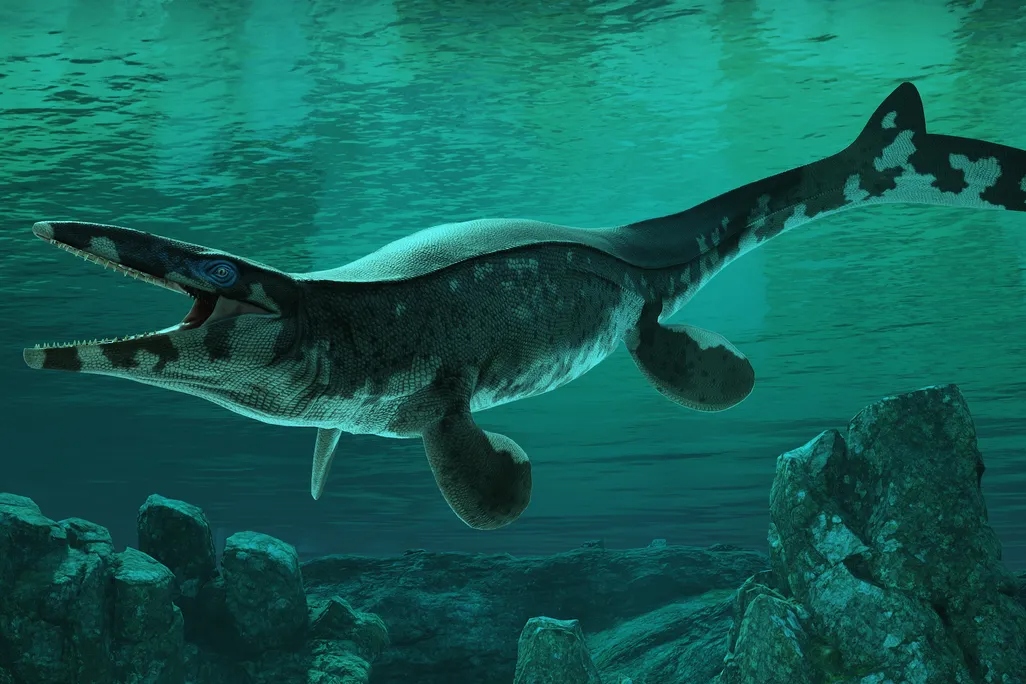 1btylosaurusrexreconstruction-1779682364544-1779682365414405968705