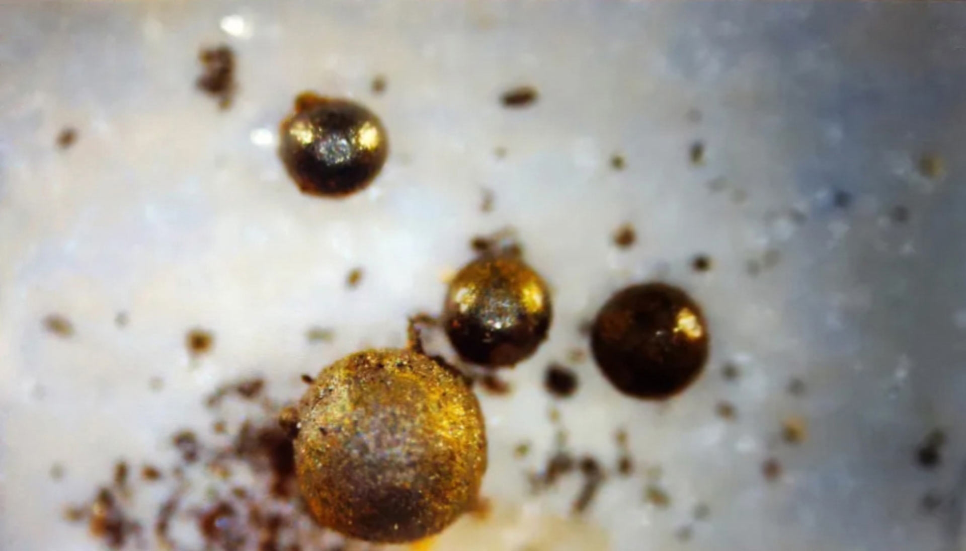 image12081e-im1-spherules-1779441975376-1779441976955566929958