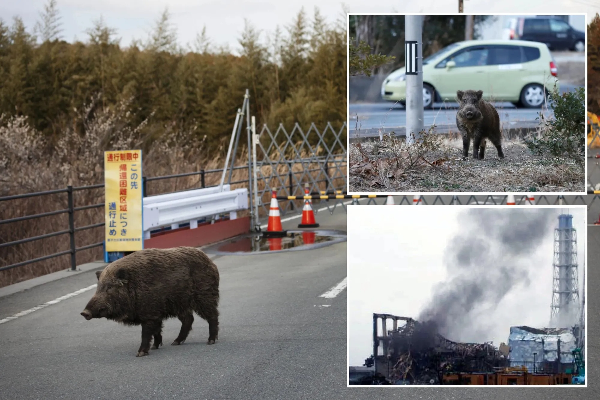 newspress-collage-9fhdxcicd-1779-1779855546573-1779855547068234851971