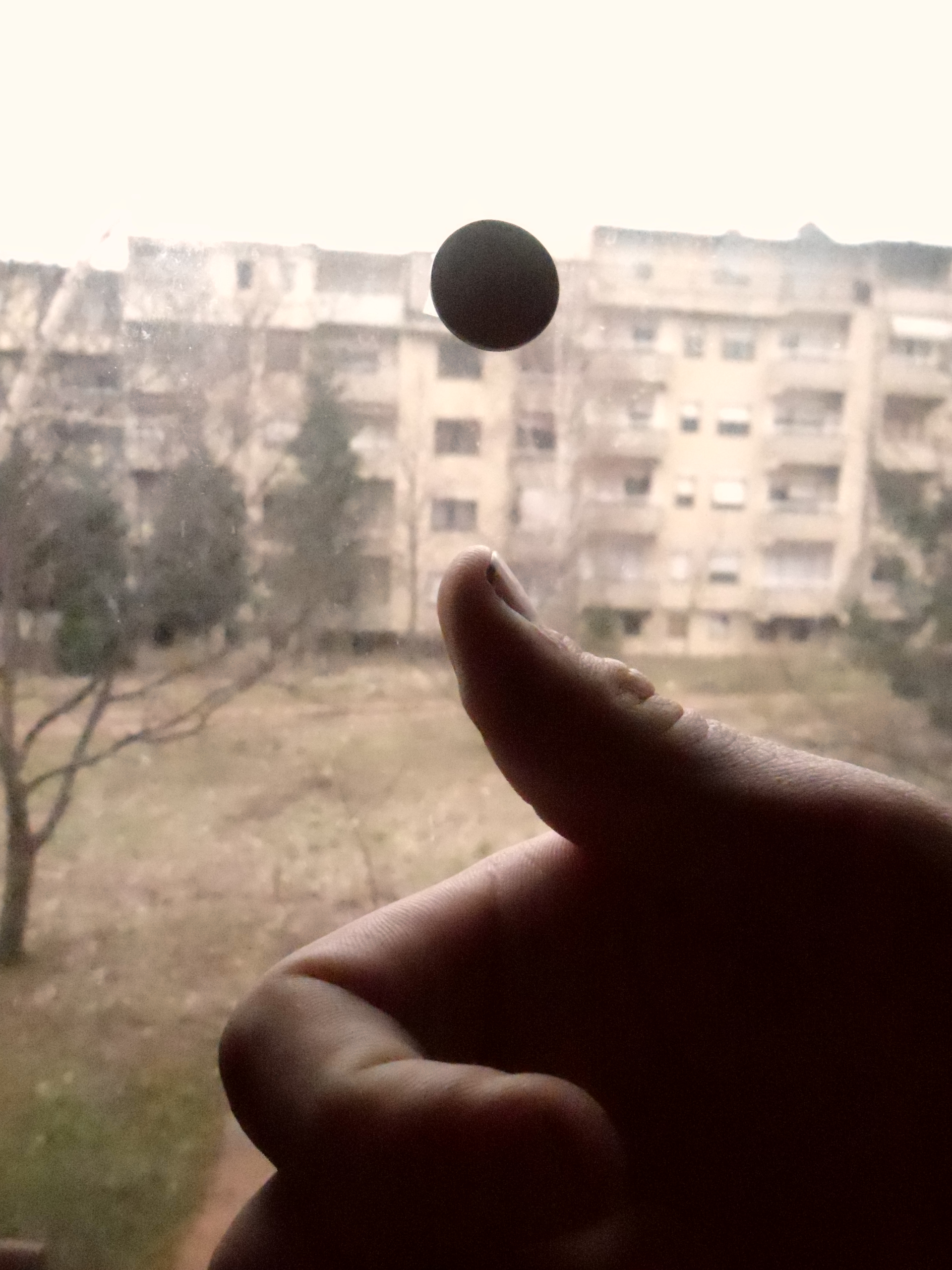 cointossing-152059-1782352380235-178235238038648557382