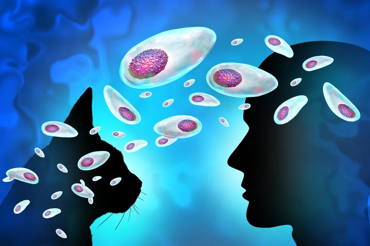 illustration-of-cat-and-human-ex-1784261051009-1784261051238727865371