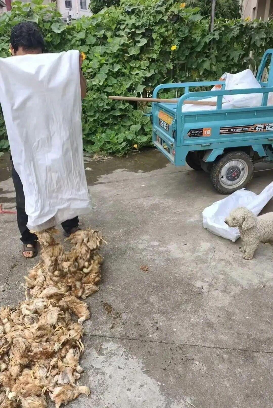 v2-9f3defc553174bb4d9a106cfe70dcdd31440w-1790569202192-17905692024091266626909